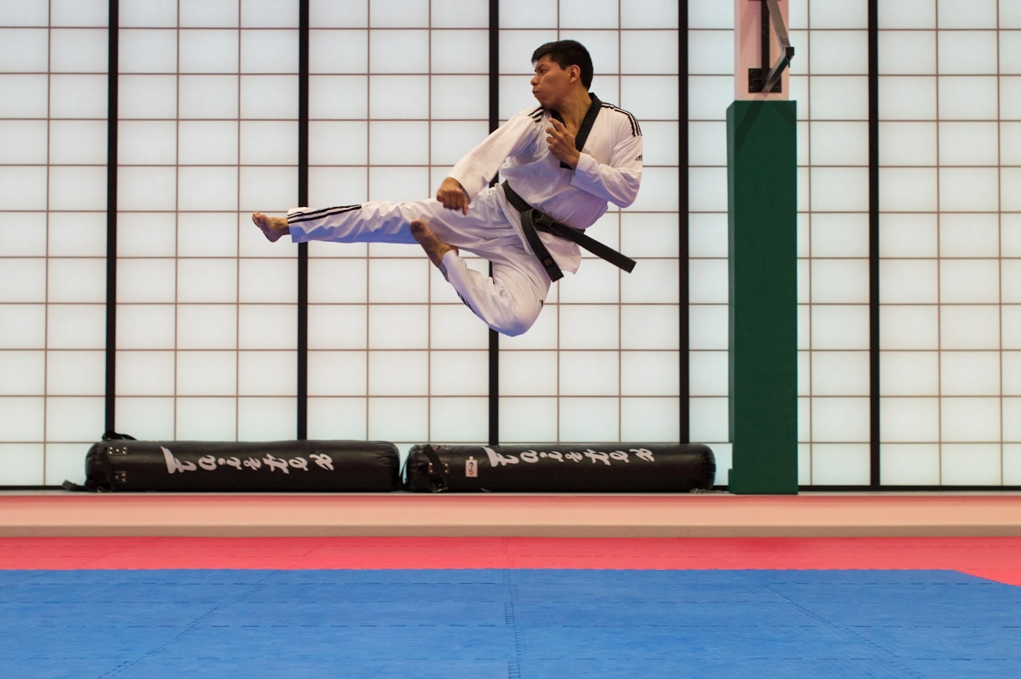 Os princípios fundamentais do Shinsei Kenpo